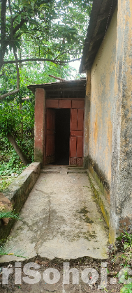 বাড়ি সহ জমি